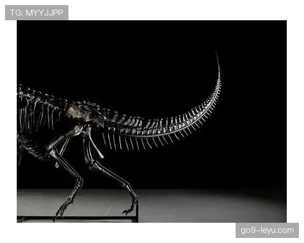 利桑德罗引发高度争议,足球界分歧加剧亟需深入探讨 利桑德罗引发高度争议,足球界分歧加剧亟需深入探讨