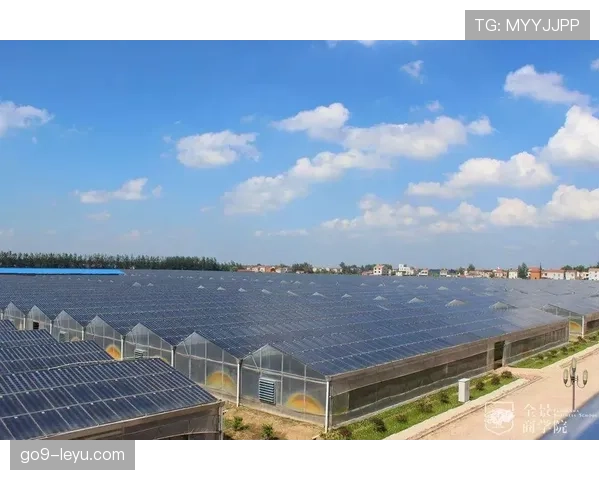 南特数据分析揭示就业增长与科技创新双轮驱动经济新趋势 南特数据分析揭示就业增长与科技创新双轮驱动经济新趋势