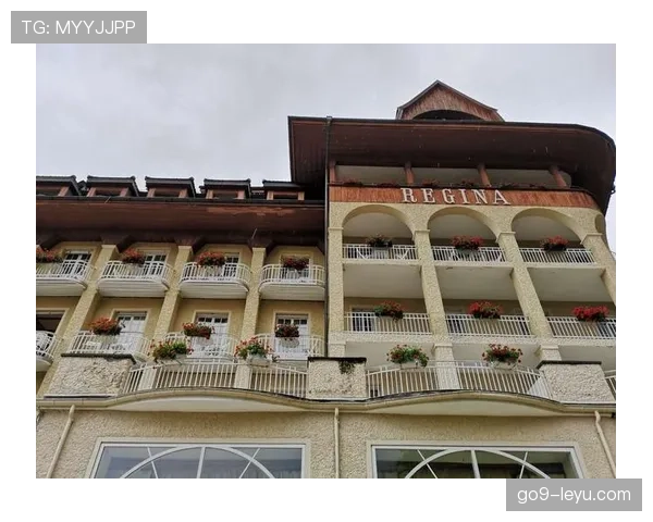 雷吉纳阵容深度显著增强，新赛季前景备受瞩目